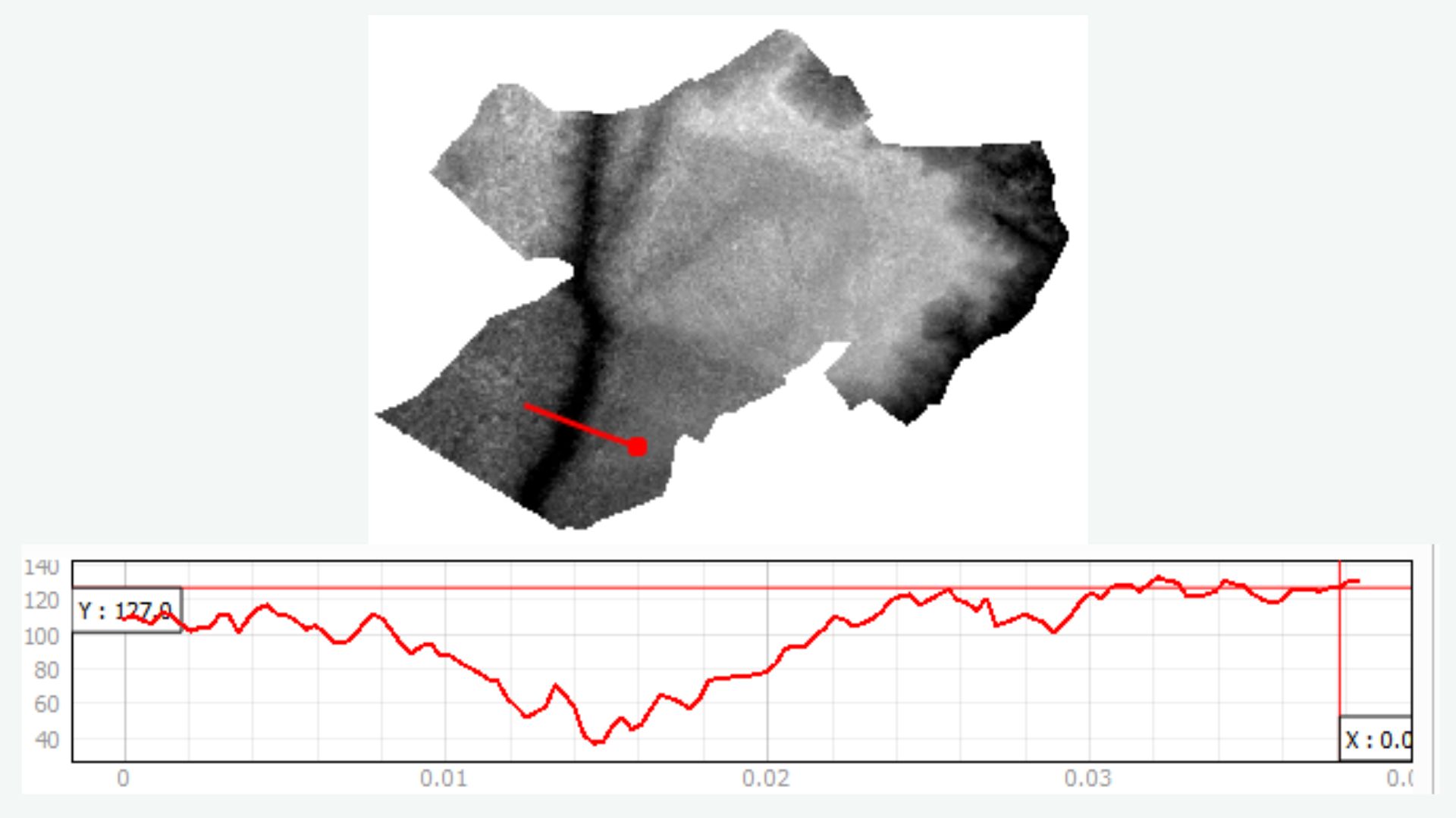 Cross Section Profiling