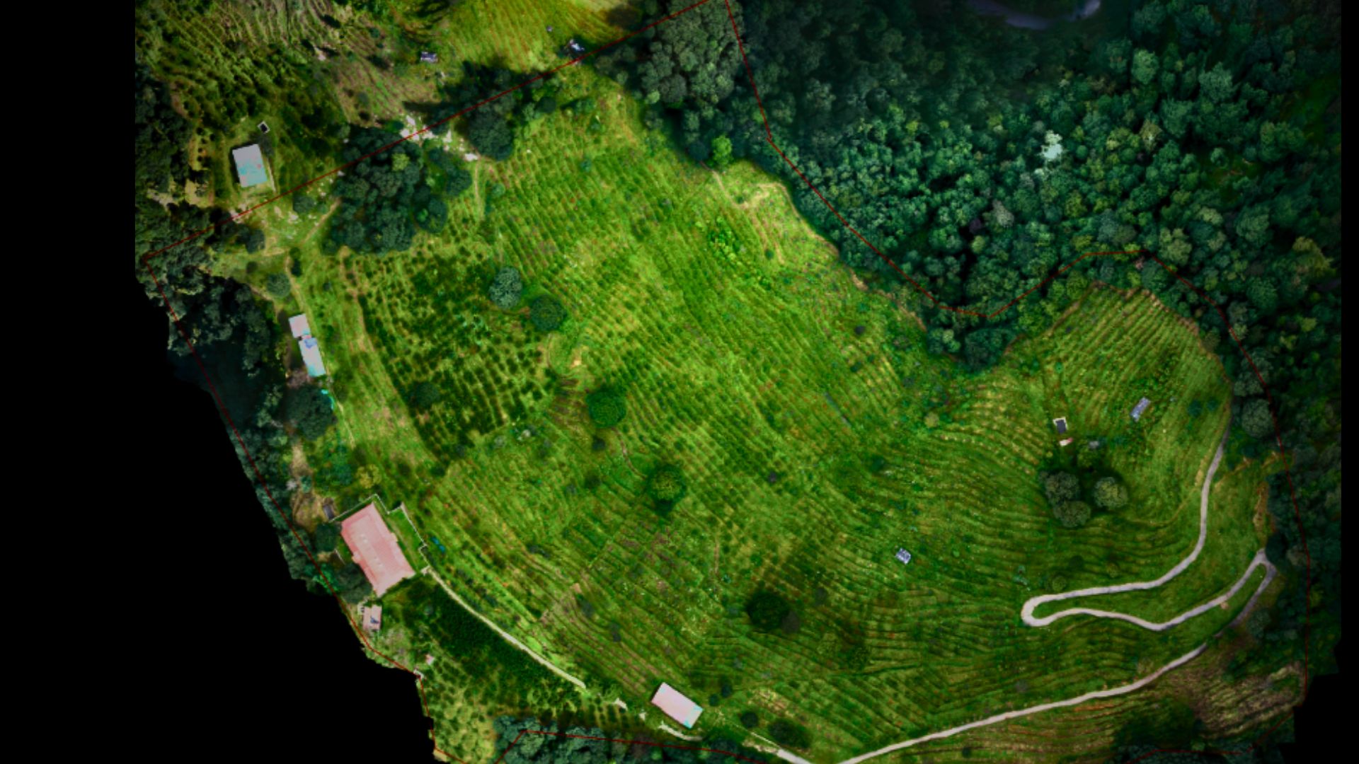 Solar Plant Inspection