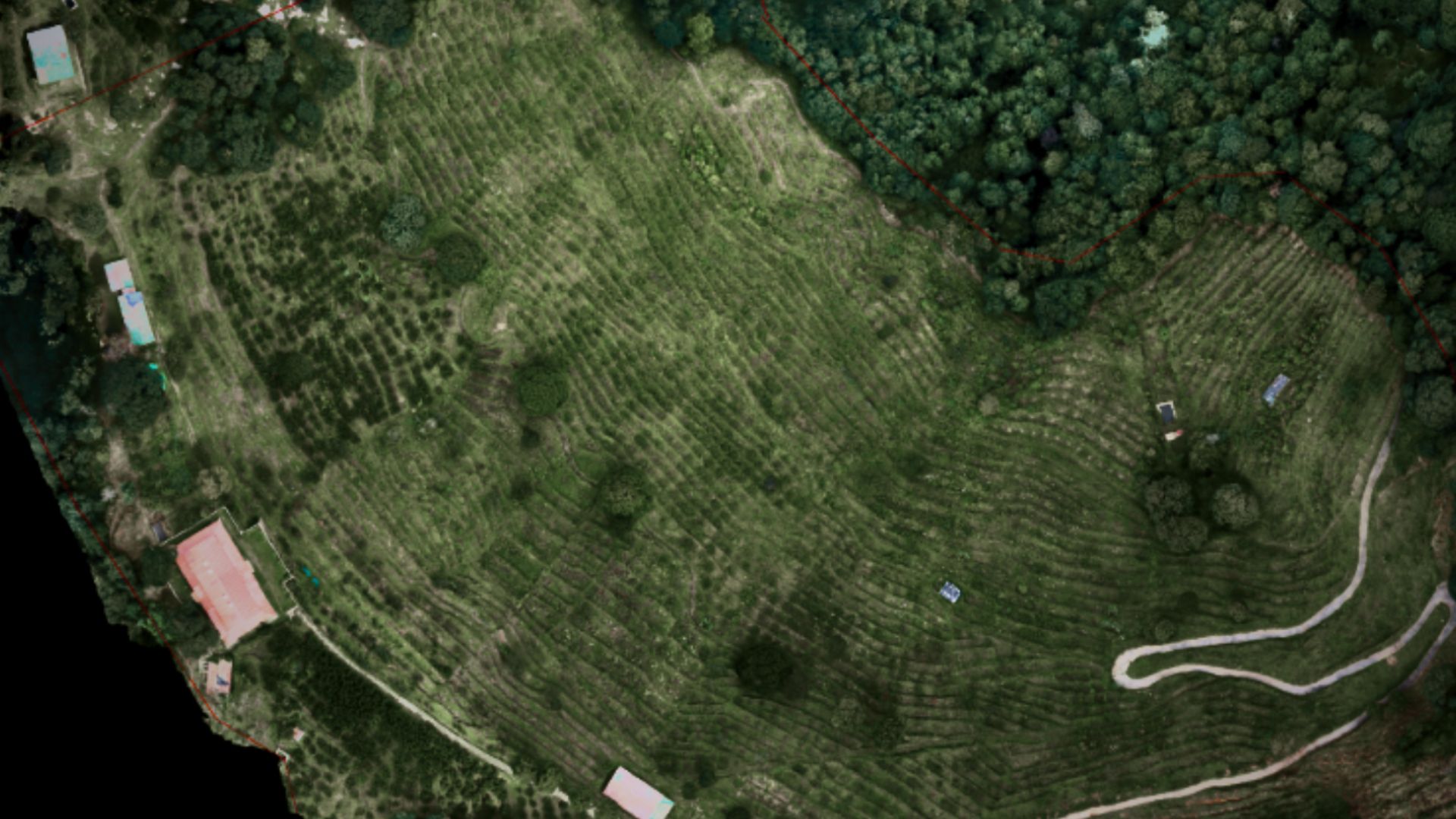 UAV Mapping & Survey